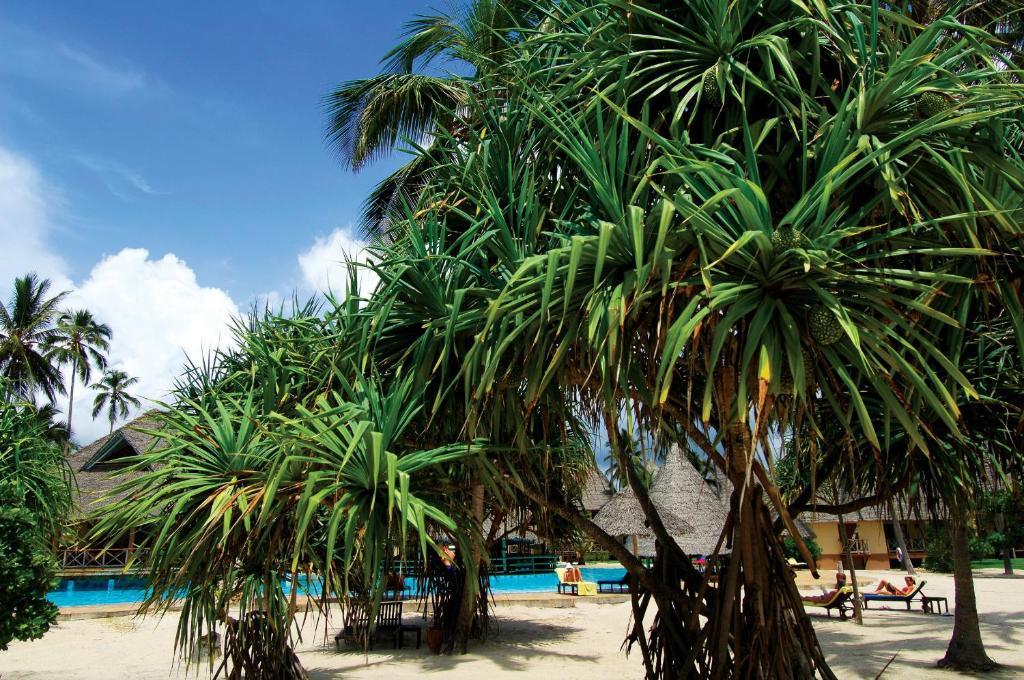 Neptune Pwani Beach Resort & Spa Zanzibar Kiwengwa  Zewnętrze zdjęcie